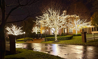 New Albany Holiday lighting