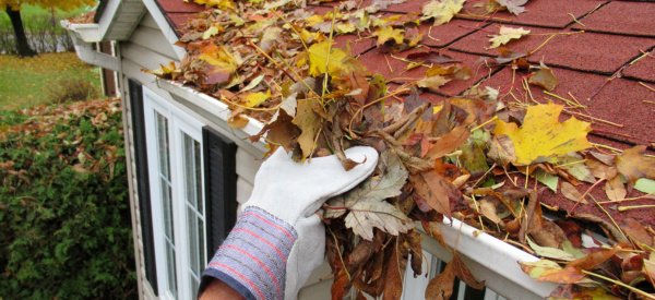 Gloved hand removing autumn leaves from a gutter along a red shingled roof near a window.