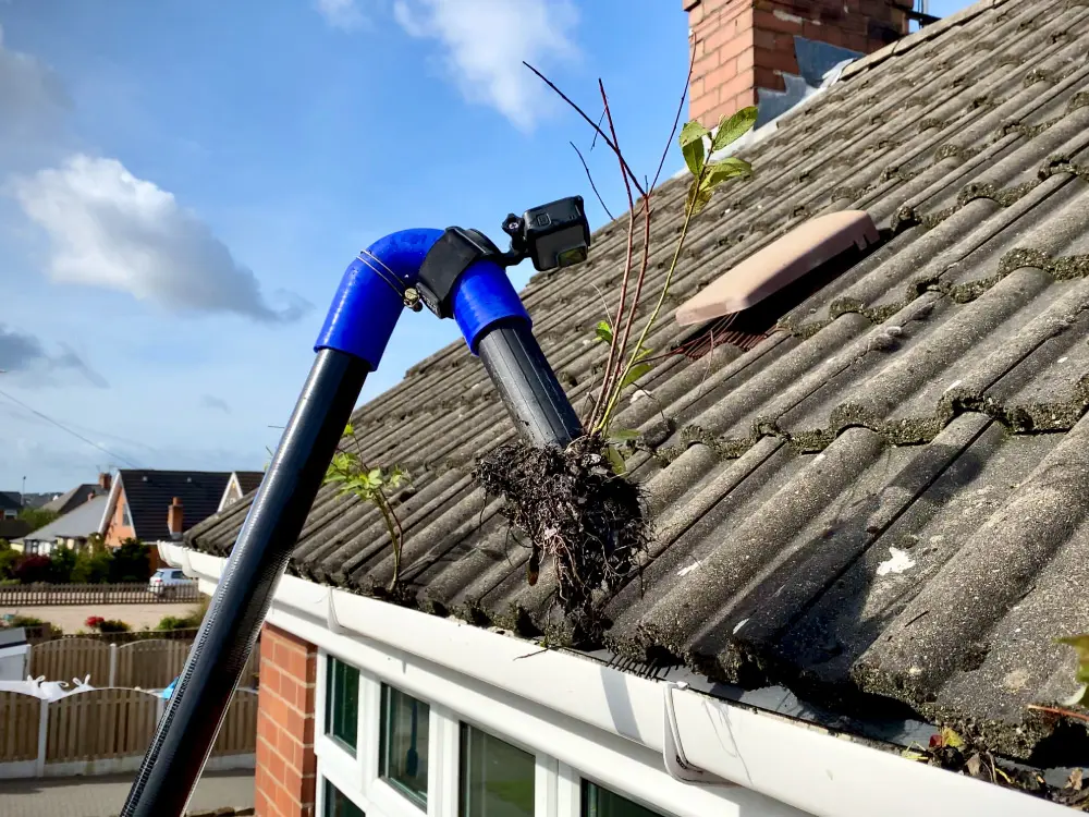 Small plant with exposed roots being pulled from a tiled roof by a pole with blue joints near the gutter edge