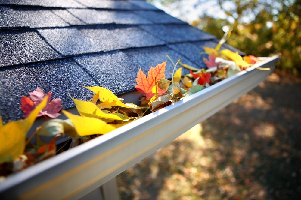Gutter filled with colorful autumn leaves along a dark shingled roof edge in sunlight