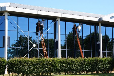 Two workers on orange ladders cleaning the glass exterior of a modern office building with a blue sky and green hedge below.