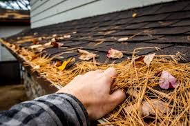 Close-up of a person lifting pine needles from the edge of a shingled roof during cleaning or maintenance