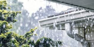 Rain falls on a house gutter and downspout, with a leafy evergreen tree nearby.