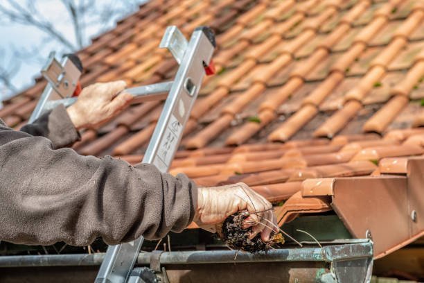 Worker on a ladder cleaning debris from a clay tile roof gutter, removing buildup from the edge of the roof